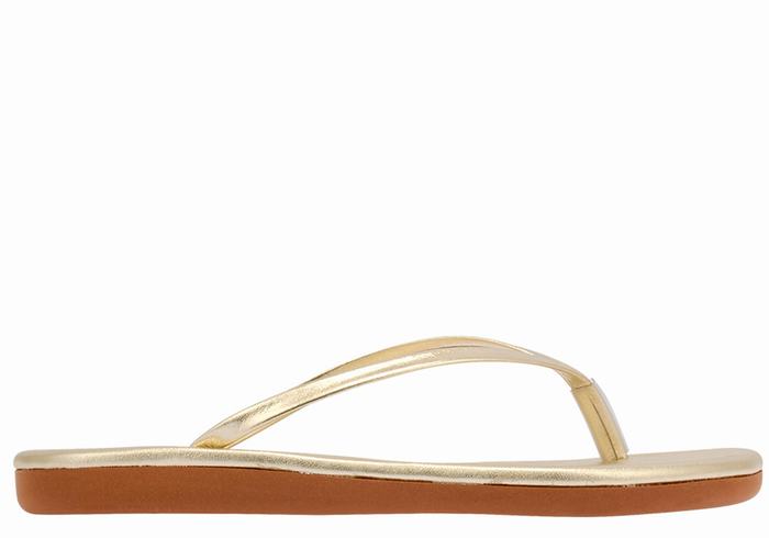 Tong Ancient Greek Sandals Saionara   | WAF-2181466